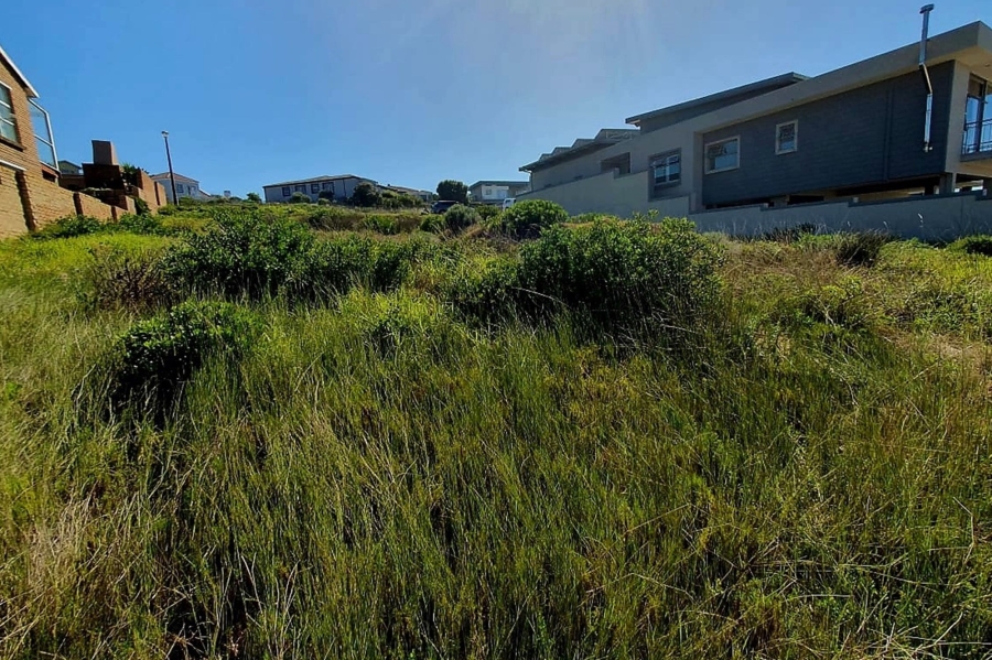 0 Bedroom Property for Sale in Jongensfontein Western Cape